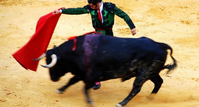 ¿Deben verse los toros en Canarias?