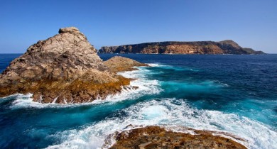 Salvajes, lo nunca visto