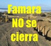 Petición en Change.Org creada por Adolfo Luzardo.