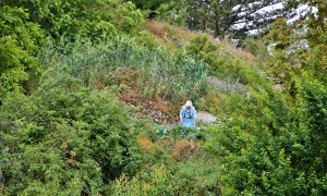 Lanzarote en el Valleseco